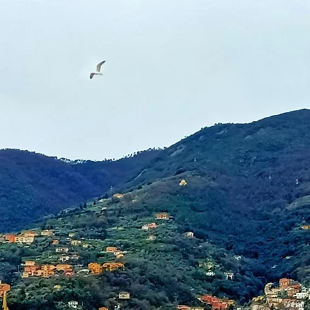 Apartman View! Panoramic Overlooking La Spezia