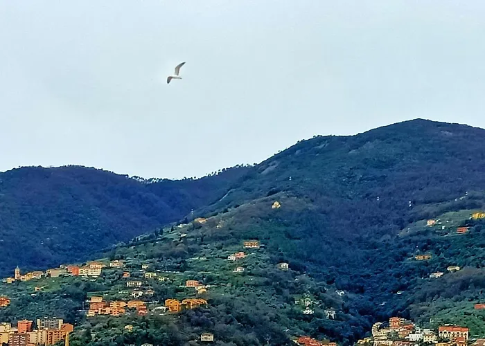 Lägenhet View! Panoramic Overlooking La Spezia
